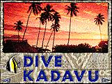 Dive Kadavu Fiji