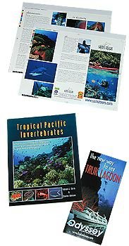 brochures