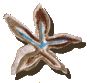 PALAU